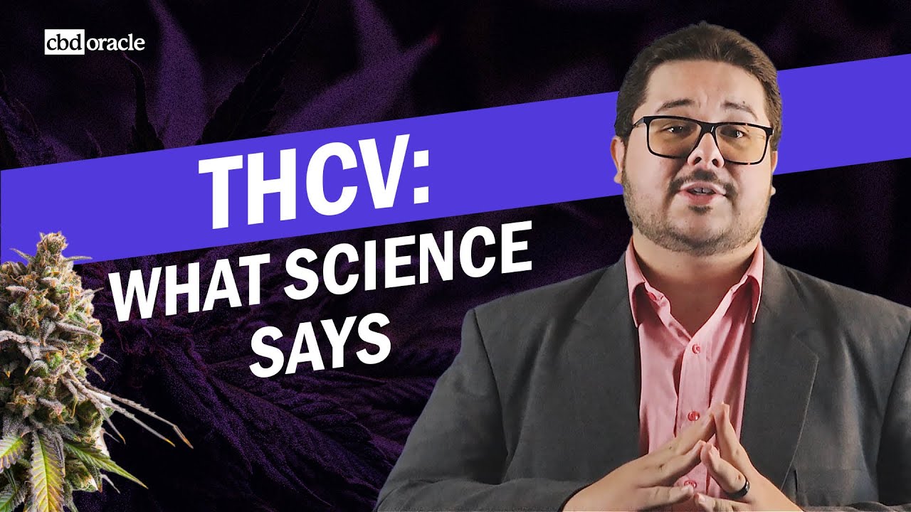 Is THCV Good for Weight Loss?