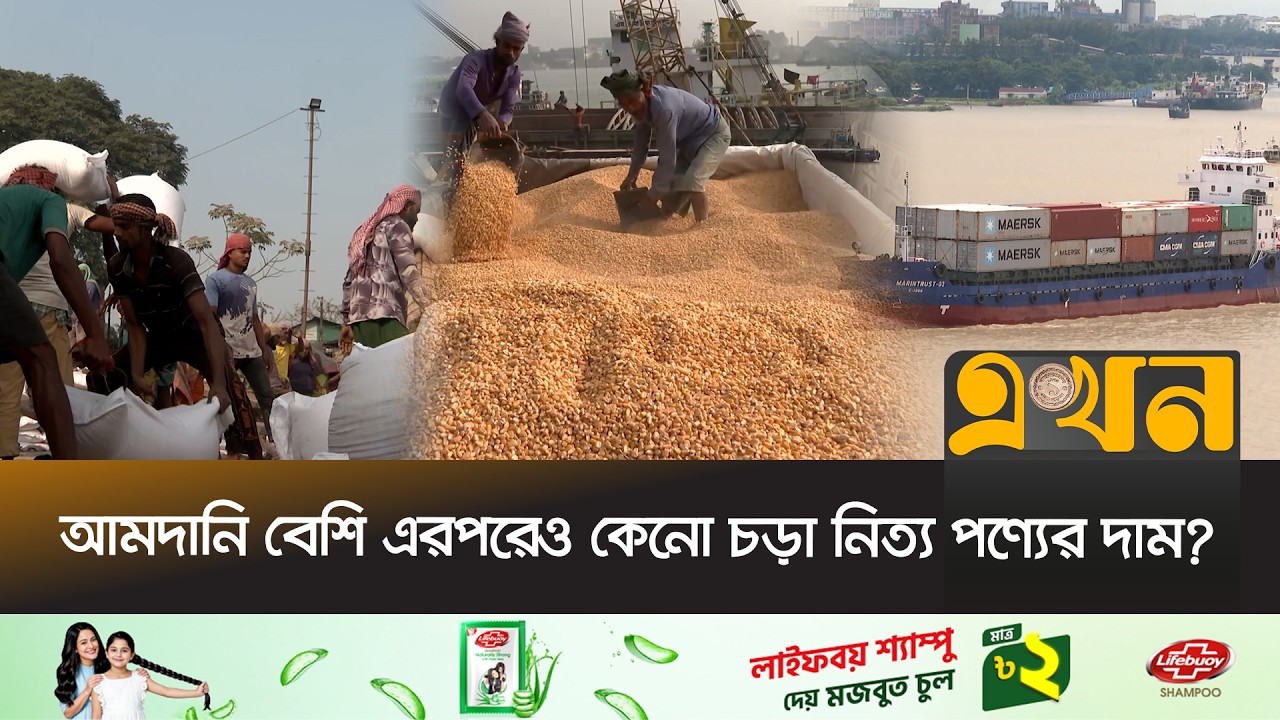 পাল্টাপাল্টি অভিযোগ  লাইটারেজ জাহাজ মালিক ও আমদানিকারকদের | Chittagong Port | Shipping Crisis |