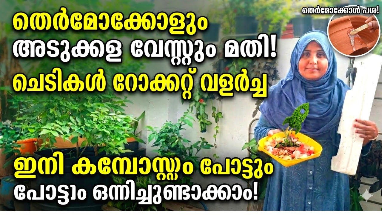💯%റിസൾട്ട്‌!!പൊട്ടിയ ചട്ടികൾ ഒട്ടിക്കാം|ചെടികൾക് റോക്കറ്റ് വളർച്ച|സൂപ്പർ ഐഡിയകൾ|homegardenideas