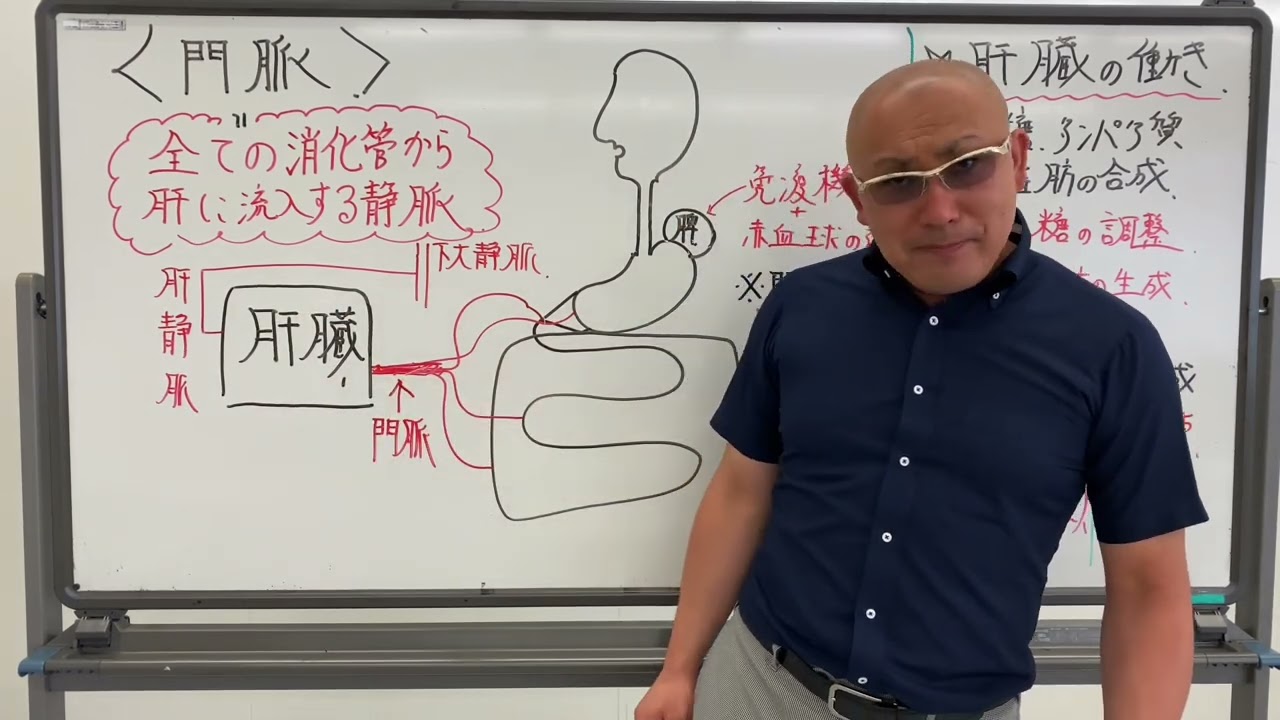 ＃門脈について。OT.PT国家試験対策専門塾『賢人塾』