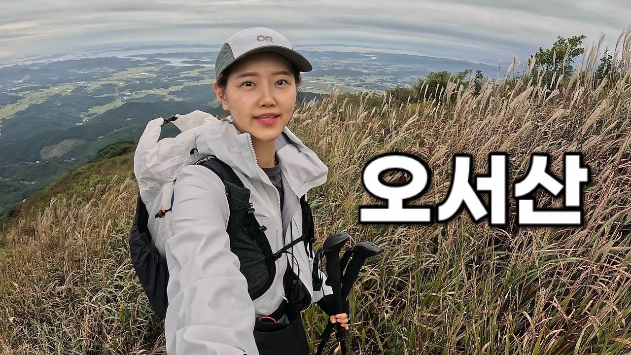 [Hiking]  충남 오서산 등산 | 가을 억새 산행지 추천🌾고즈넉한 서해안 바라보며 억새가 춤추는 능선을 걸어보자! | 홍성 상담마을 코스