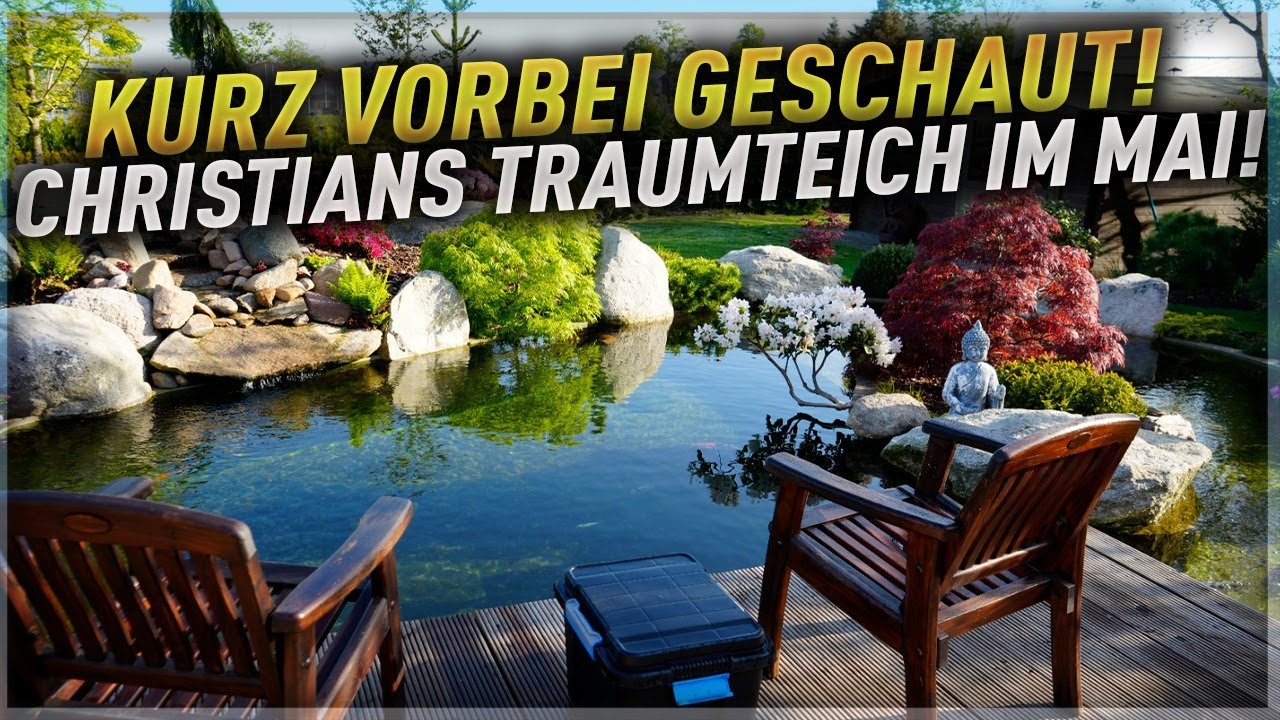 So schnell kann es gehen! Der Dichtschl&auml;mme Teich im Mai 2022!