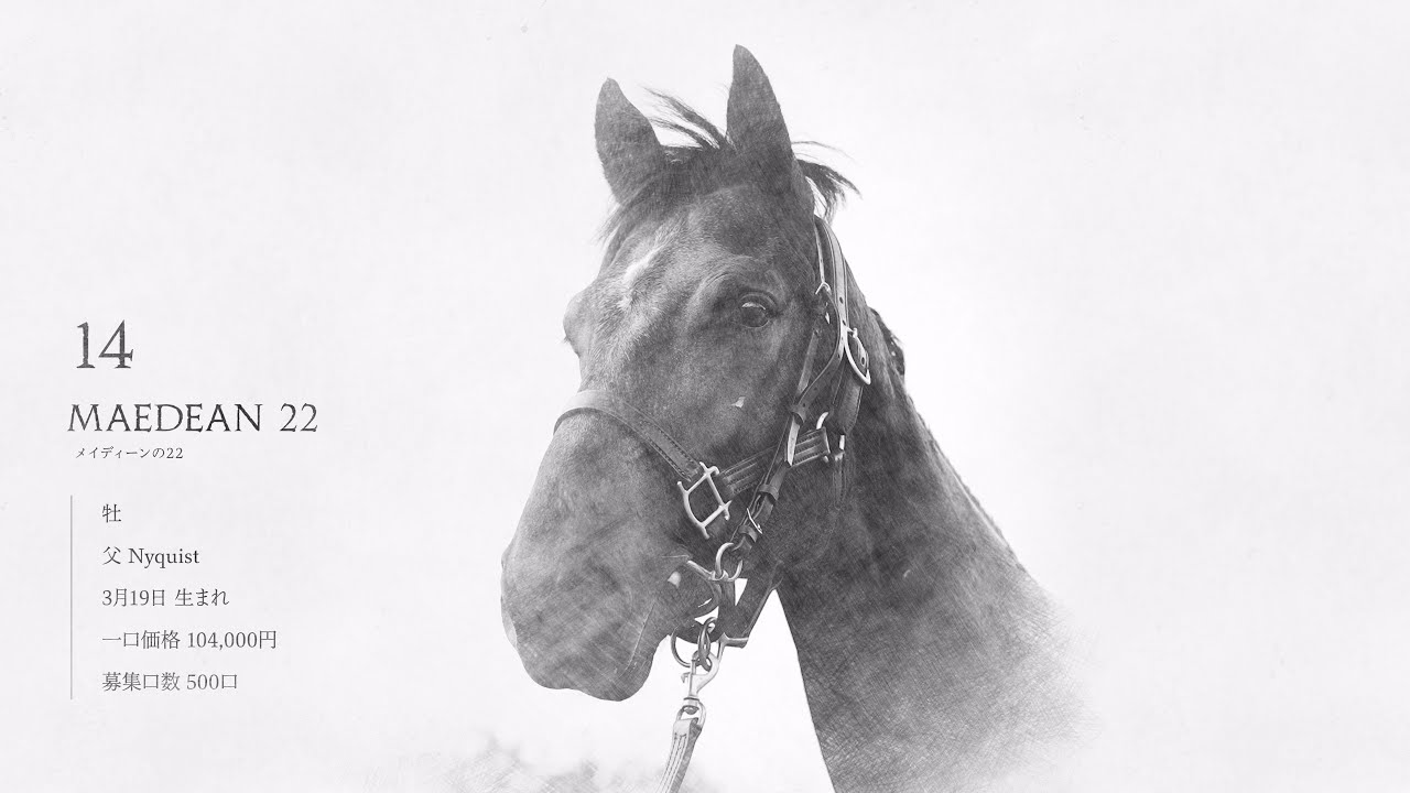 No.23-14　メイディーンの22（父Nyquist）