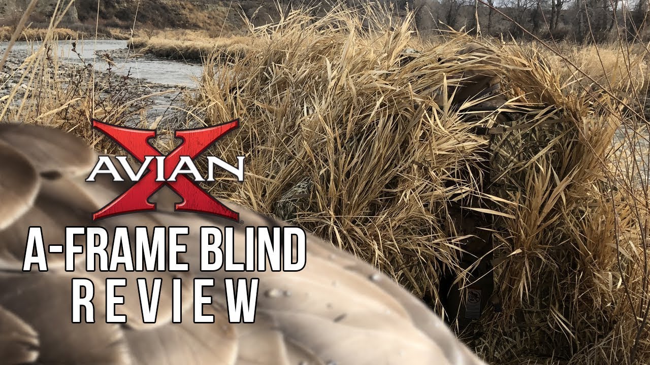 Avian-X A-frame Blind Review - Portable Duck Blind