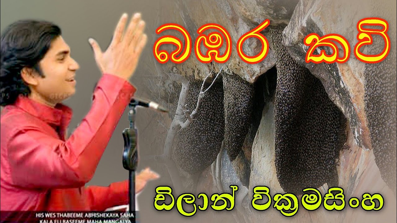 Jana kaviye ena Babara kavi /folk song
