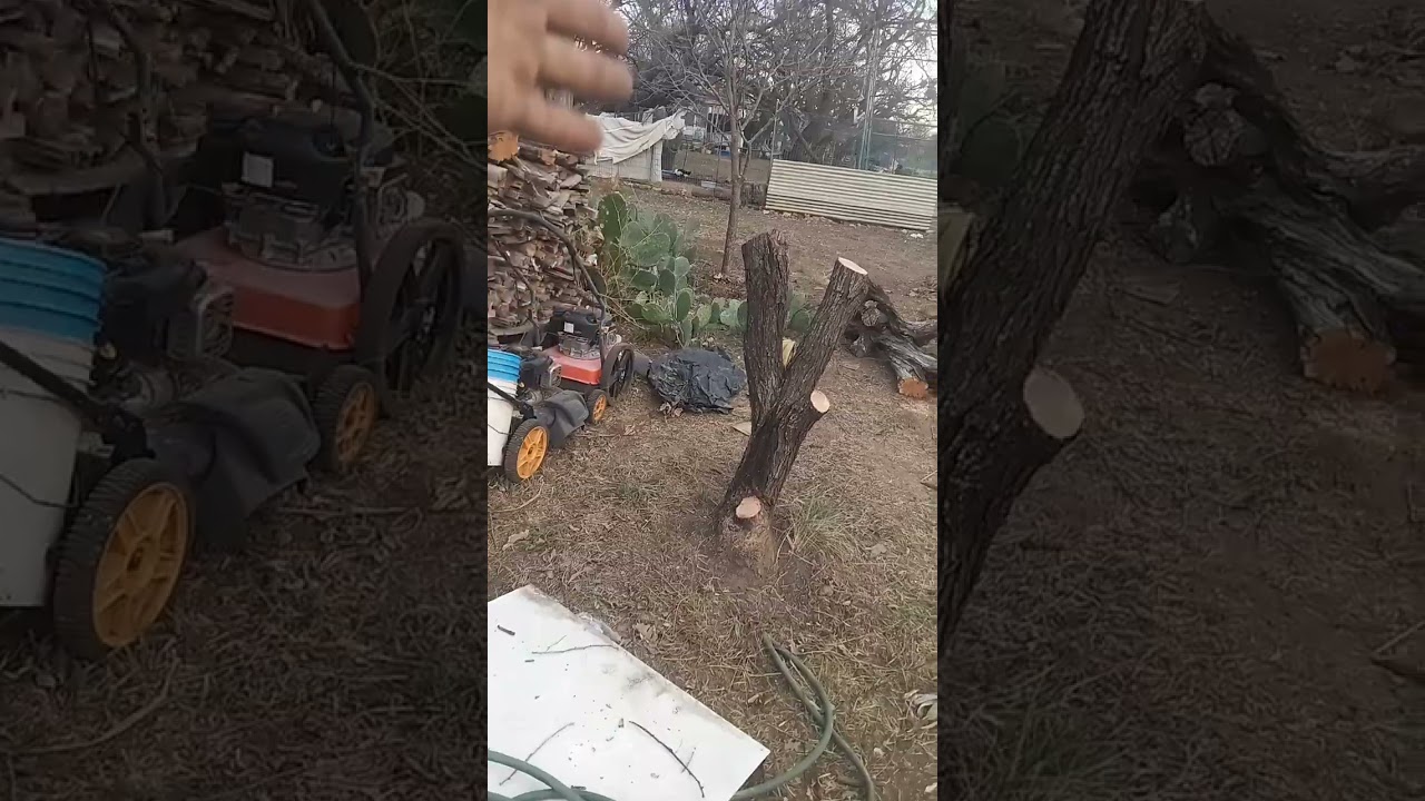 January 4th 2026 thru January 11th, 2026 Here on my Lil Ole homestead in Texas.