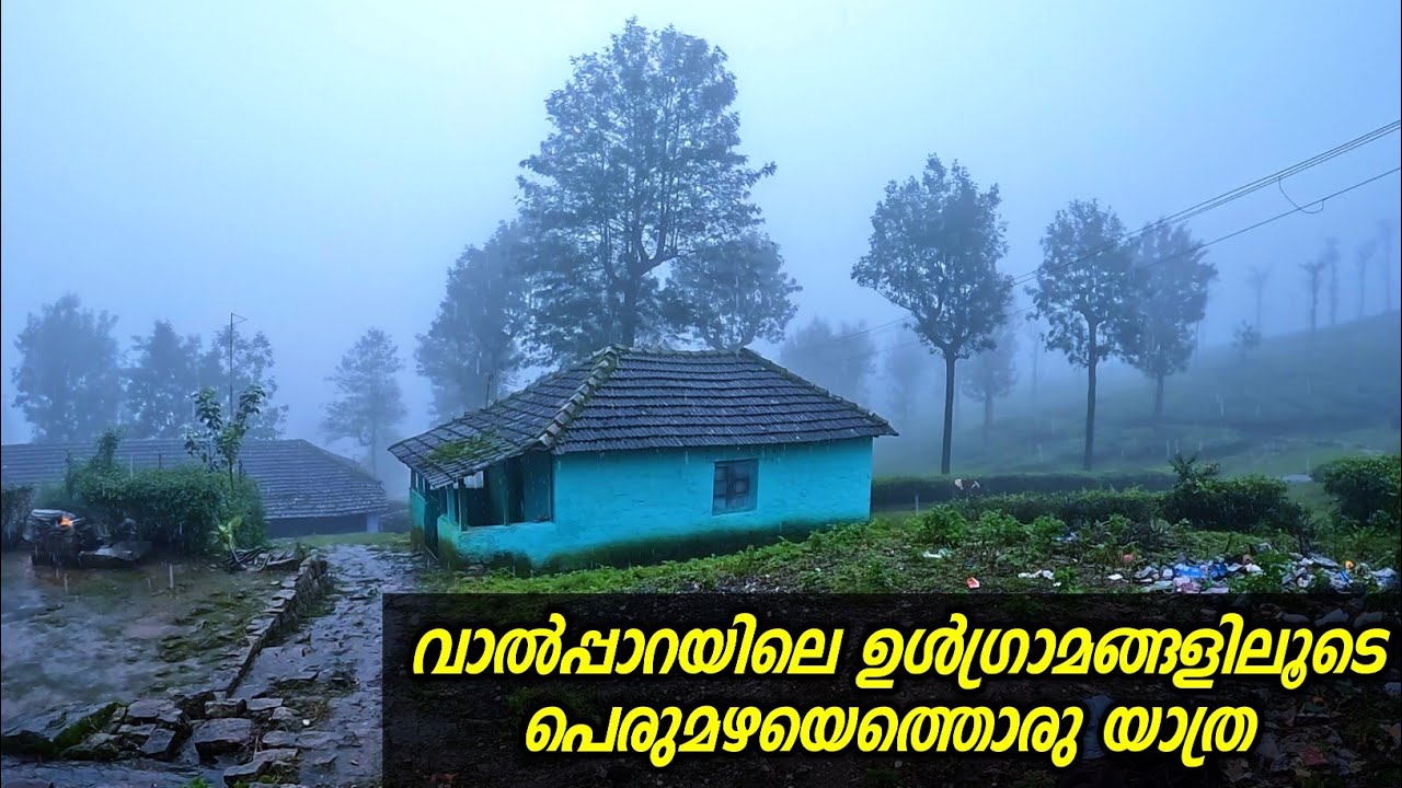 വാൽപ്പാറയിലെ ഉൾപ്രദേശങ്ങളിലെ ജീവിതം ഇങ്ങയെയെക്കെയാണ് | Valparai Rural Village Life