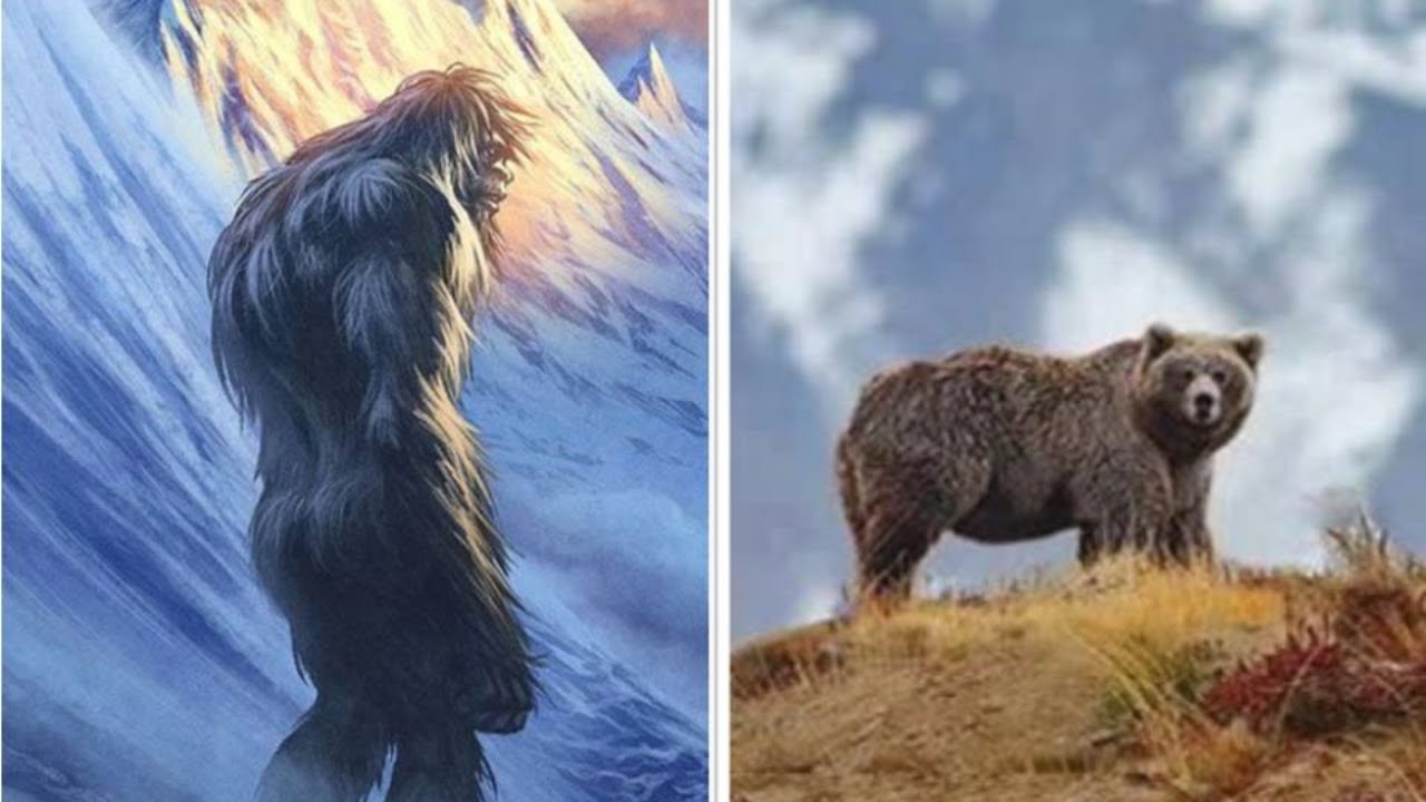 A VERDADE SOBRE A LENDA DO ABOMINÁVEL-HOMEM-DAS-NEVES! CONHECIDO TAMBÉM POR YETI. O QUE É ISSO?