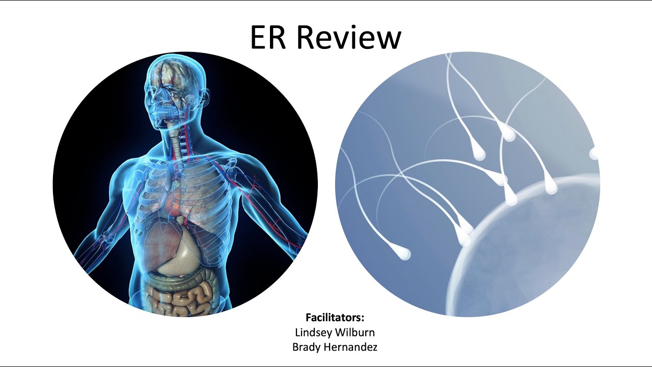 ER Review