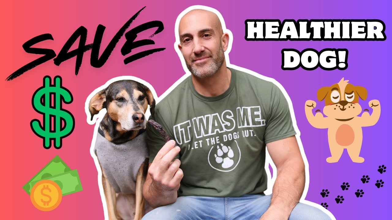 BUDGET💰Hacks|Essential Ingredients for Homemade DOG 🐕 Food