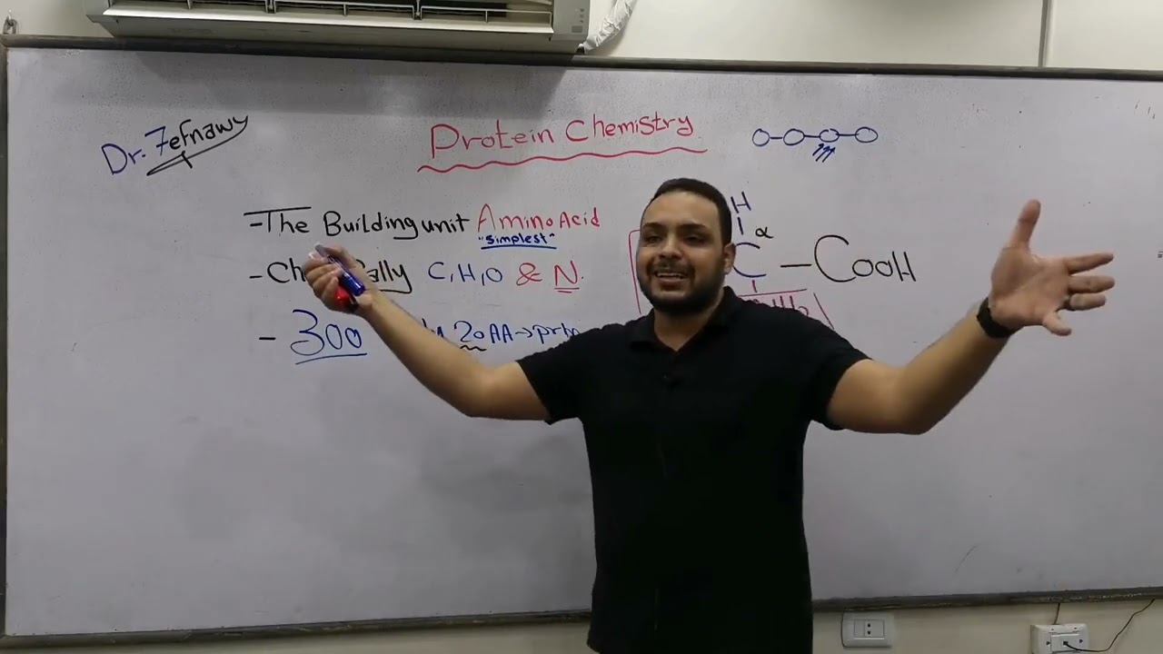 1- Amino Acids Classification القصر العينى