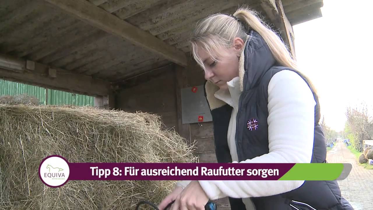 REITTV-Webstars | Ein Tag im Offenstall mit Anja - Tipps f&uuml;r die kalten Tage