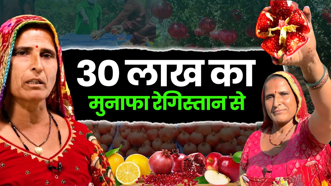 बंजर जमीन से 30 लाख का मुनाफा | Successful Women Farmer| Farming in Rajasthan