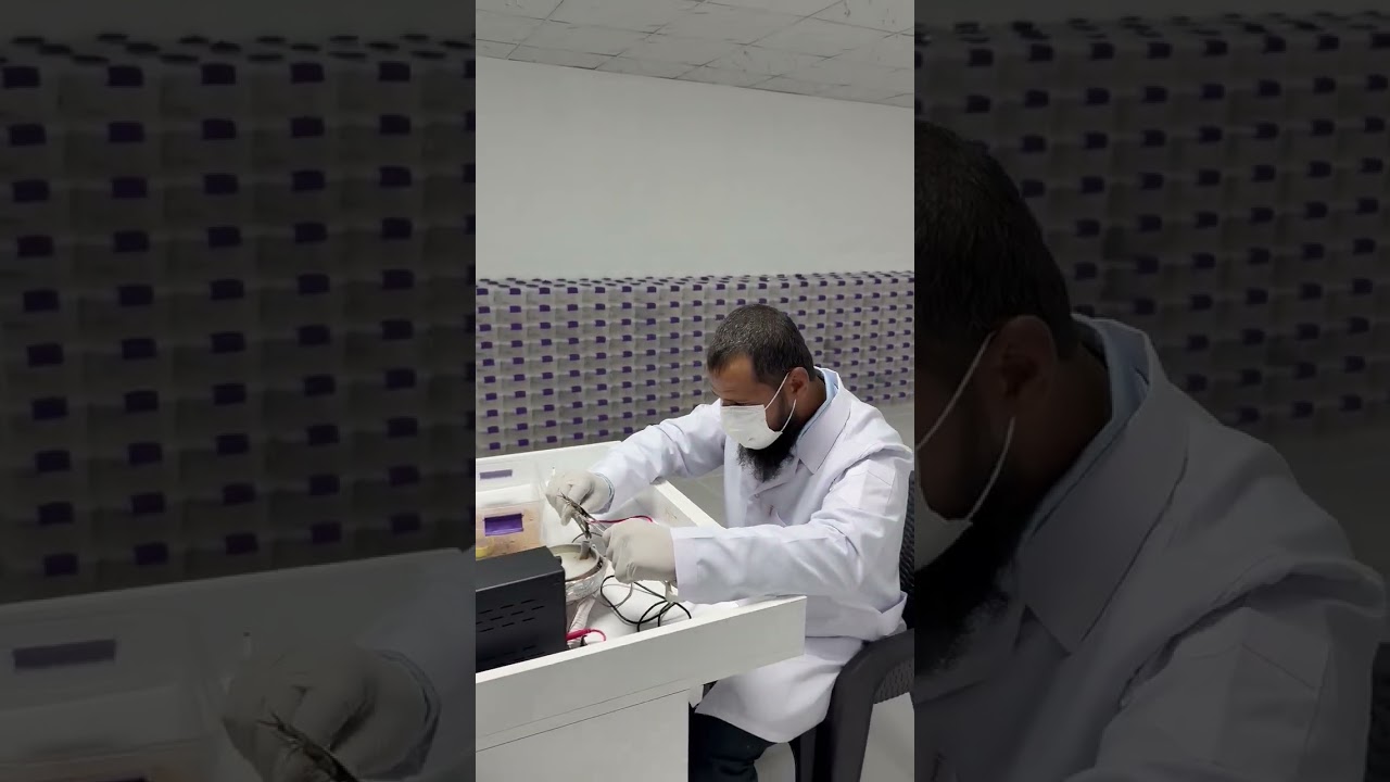 Ak&ccedil;akale akrep zehri