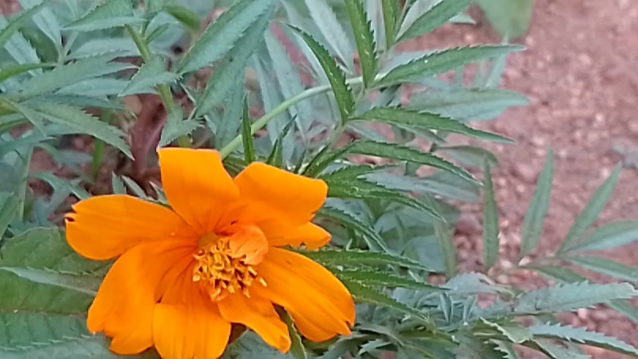 ஆதி துரையை அடித்து உண்மையை வாங்கினார் 11 மார்ச் 