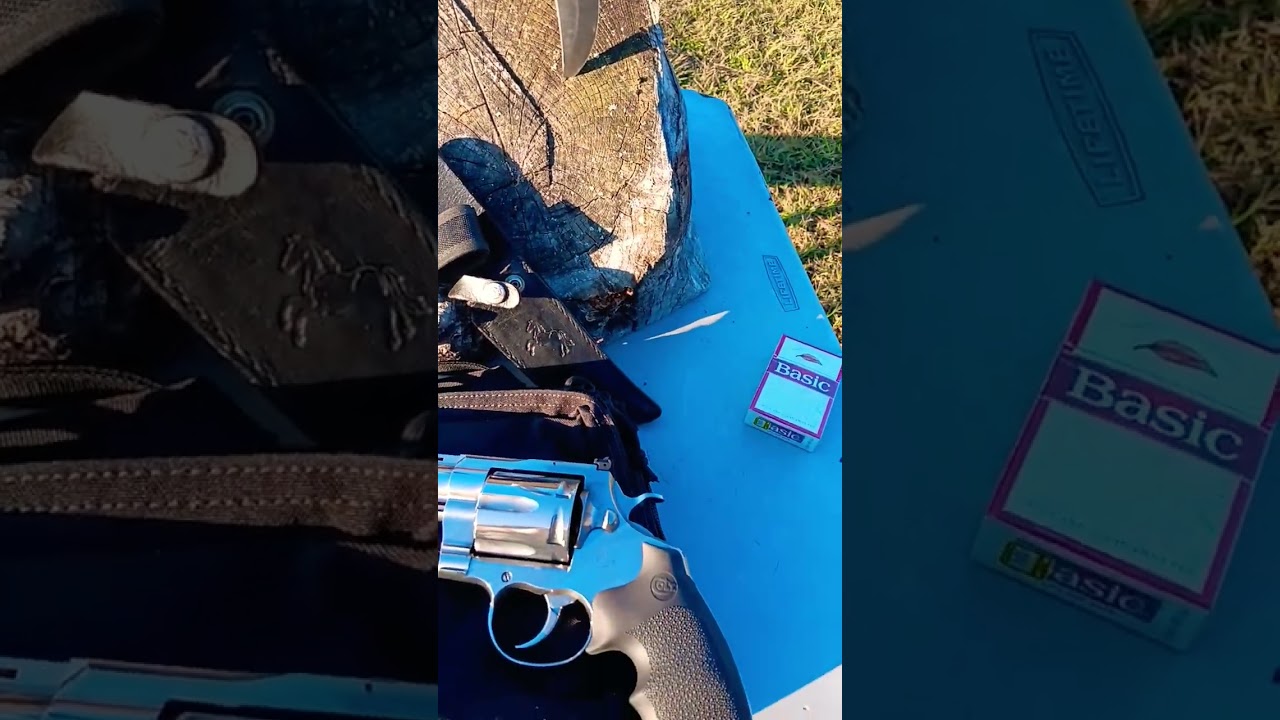 Colt Knives Trifecta & a big snake! 