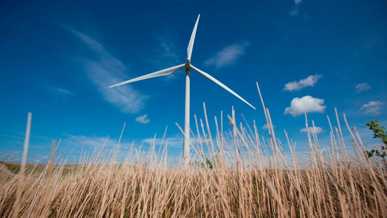 We’ve Gone Green! 100% green electricity generation from ScottishPower