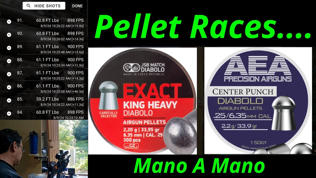 AEA 33.9 Pellets | JSB 33.95 Pellets | FX Maverick Quick Tune | 100 Yards | Session 49