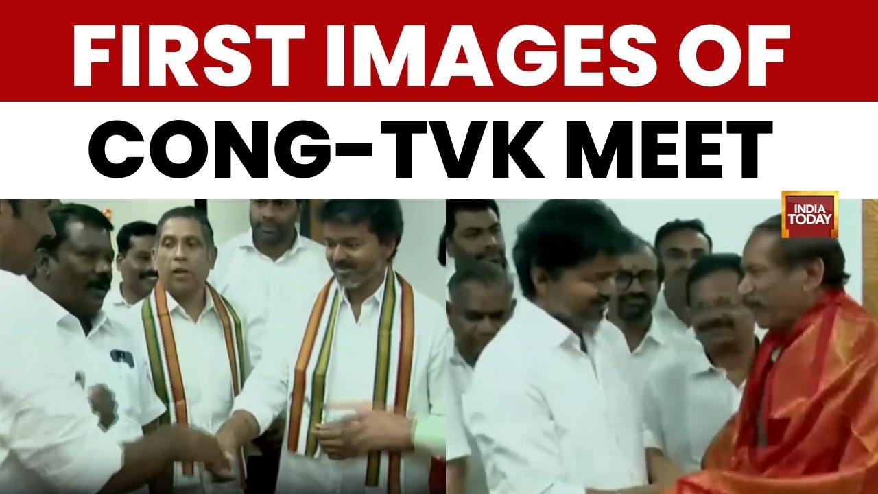 Cong-TVK Alliance: TVK Falls Short Of Majority In TN | Congress Offers Conditional Support For Govt