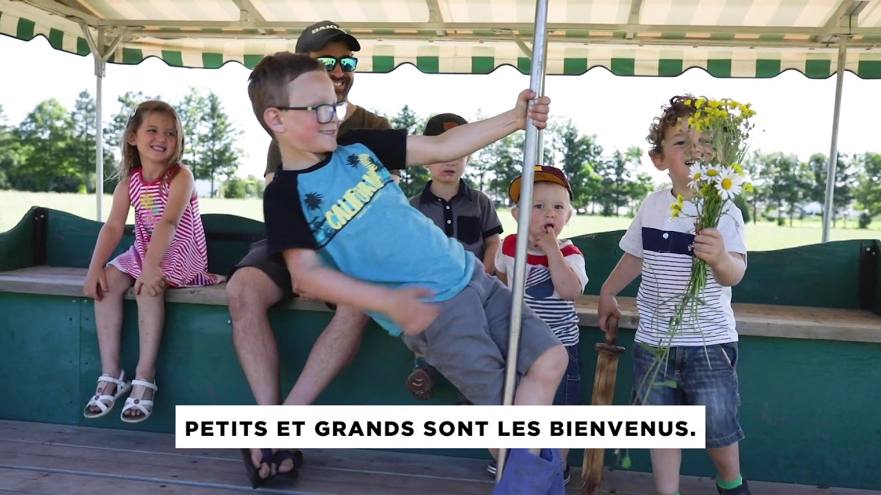 Venez profiter des meilleures fraises du Qu&eacute;bec