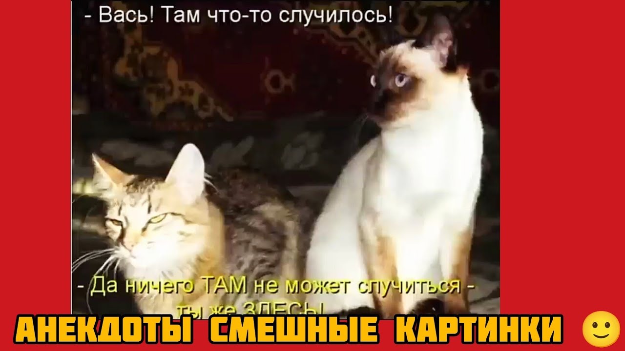Вась! Там что-то случилось!- Да ничего ТАМ не может случиться -Ты же ЗДЕСь! смешные картинки музыка 