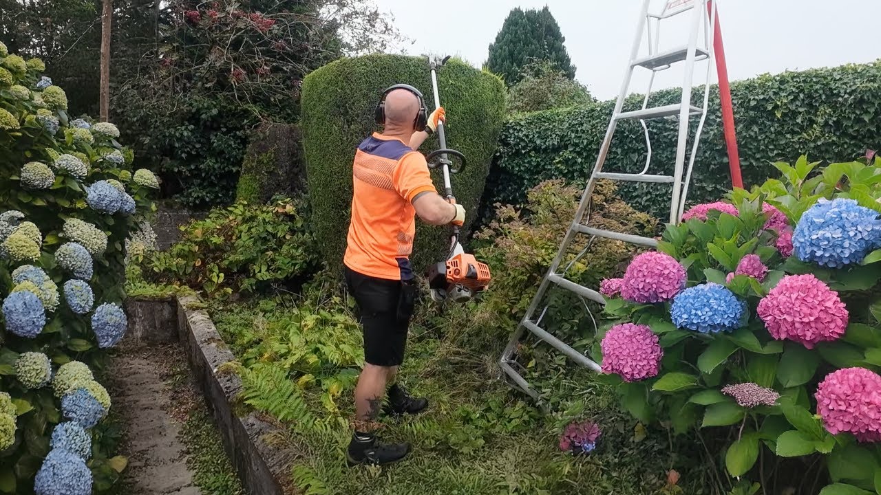Transforming Overgrown Hedges: AMAZING Before & After for a Picture-Perfect Garden