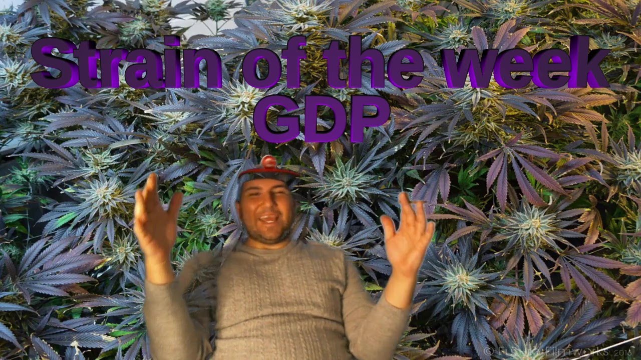 Strain of the week GDP