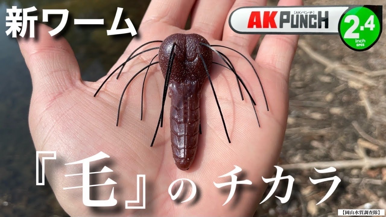 【新ワーム誕生！】まさかのバイト連発‼︎  ”泣く子も黙る”『毛』のチカラで、バス釣りがこんなにも簡単になる。 一誠　AKパンチ・ラバーチューン　『フリーリグおすすめの使い方解説』