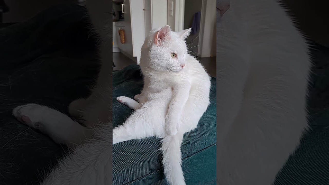 Tail maintenance