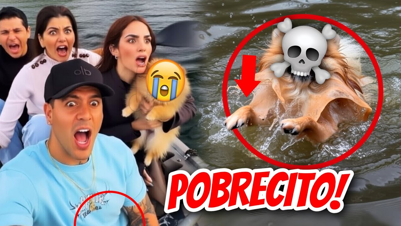 ¿QUE LE PASO AL JUKITO? 🚨😭 (KIMA Y JUANITO LO PREFIERON EN EL AGUA) ⚠️👈🏻