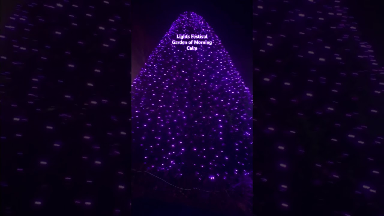#travel #seoul #solotravel #korea #wanderlust #travelgoals #lightfestival #christmas2023