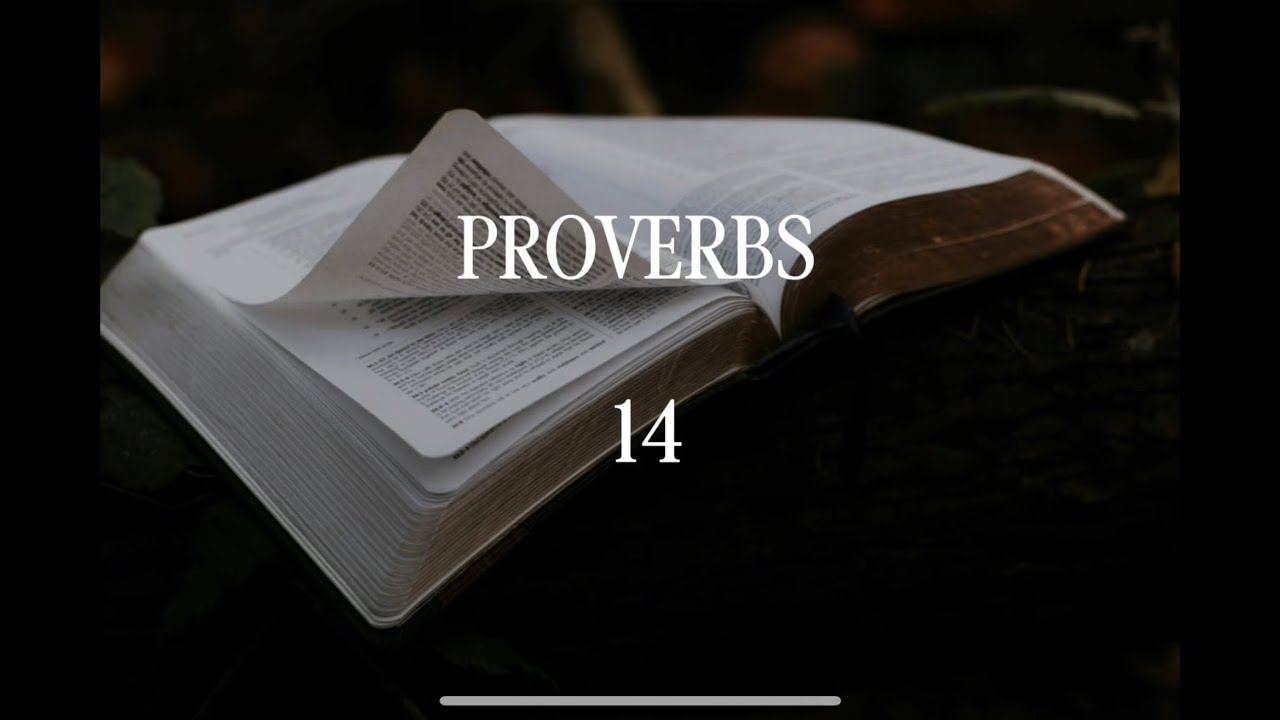 Proverbs 14: House of Wisdom