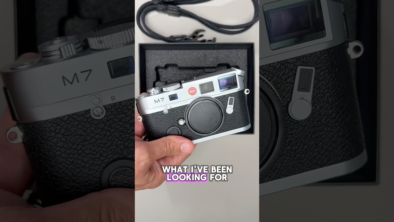 Leica M7 Which M is the best?