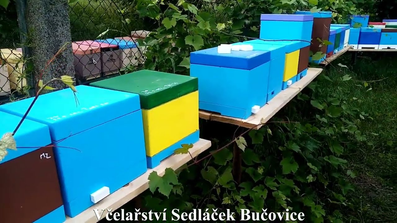 105/22 V čem chováme matky a plnění oplodňáčku