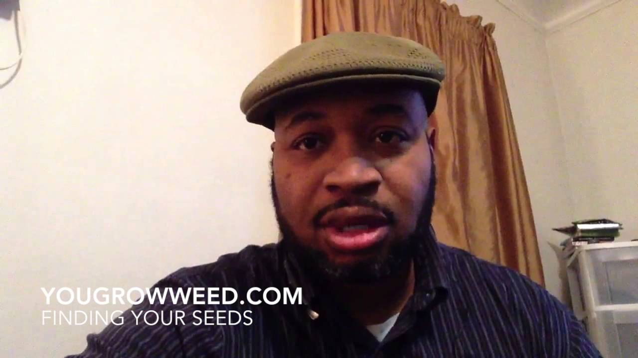 YouGrowweed.com: Finding the right seed bank