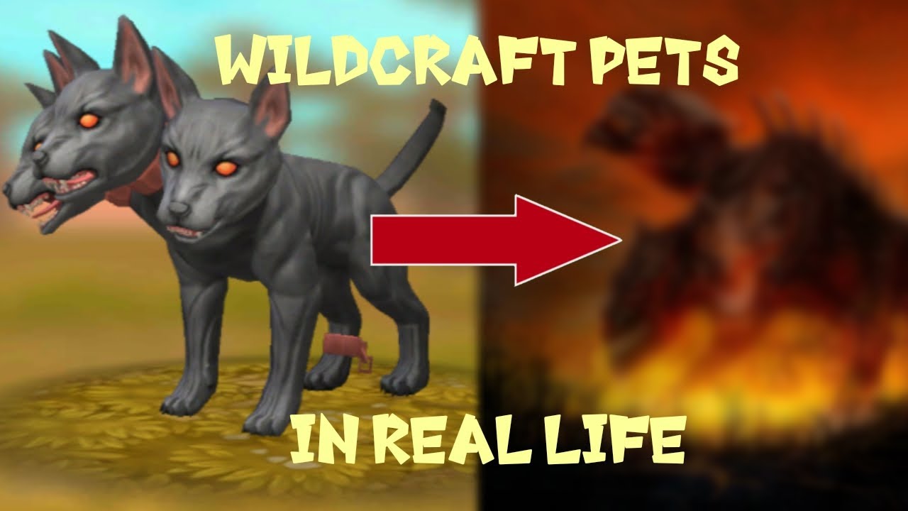 Wildcraft Pets в реальной жизни | Новая версия питомцев