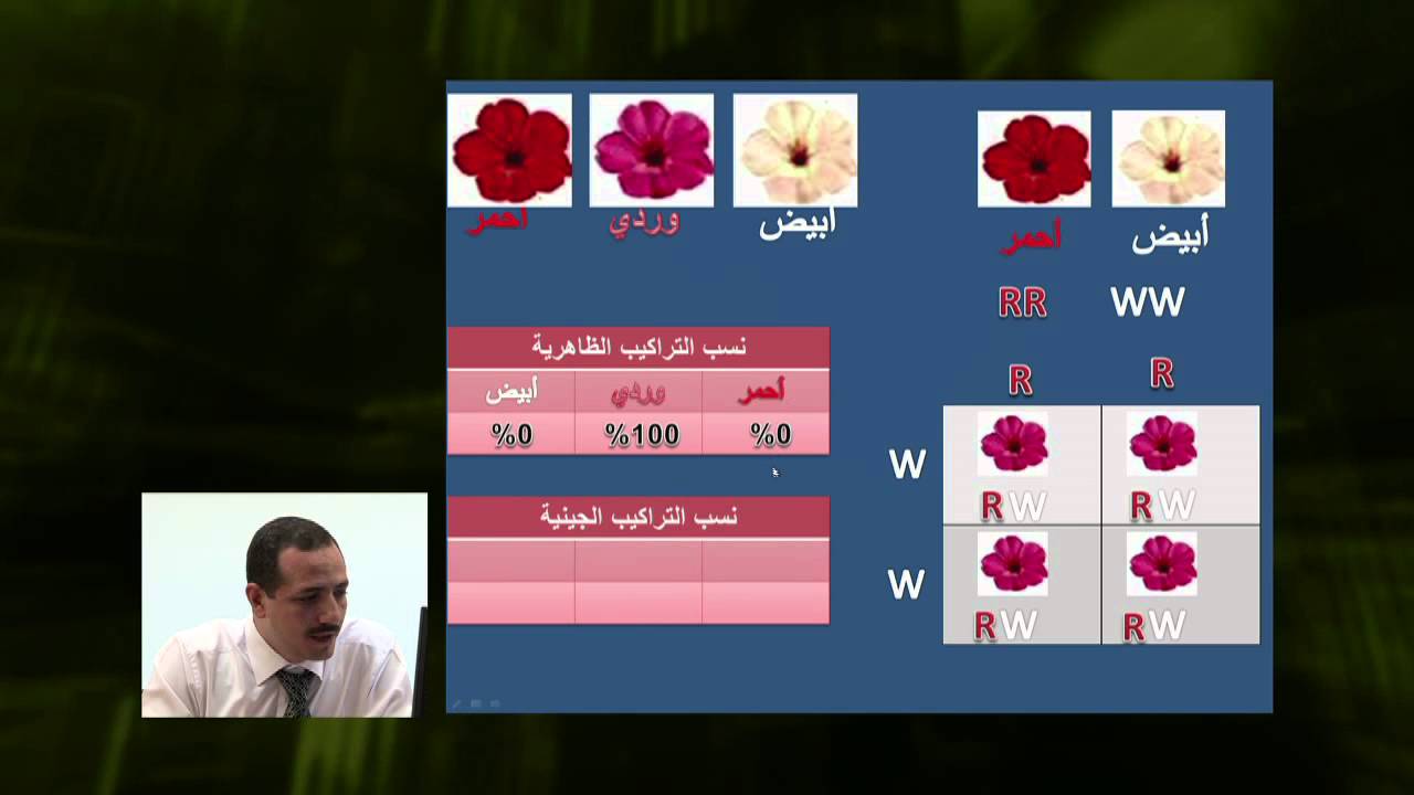 الأحياء - الصف الثانى عشر - الدرس رقم (15) السيادة غير التامة