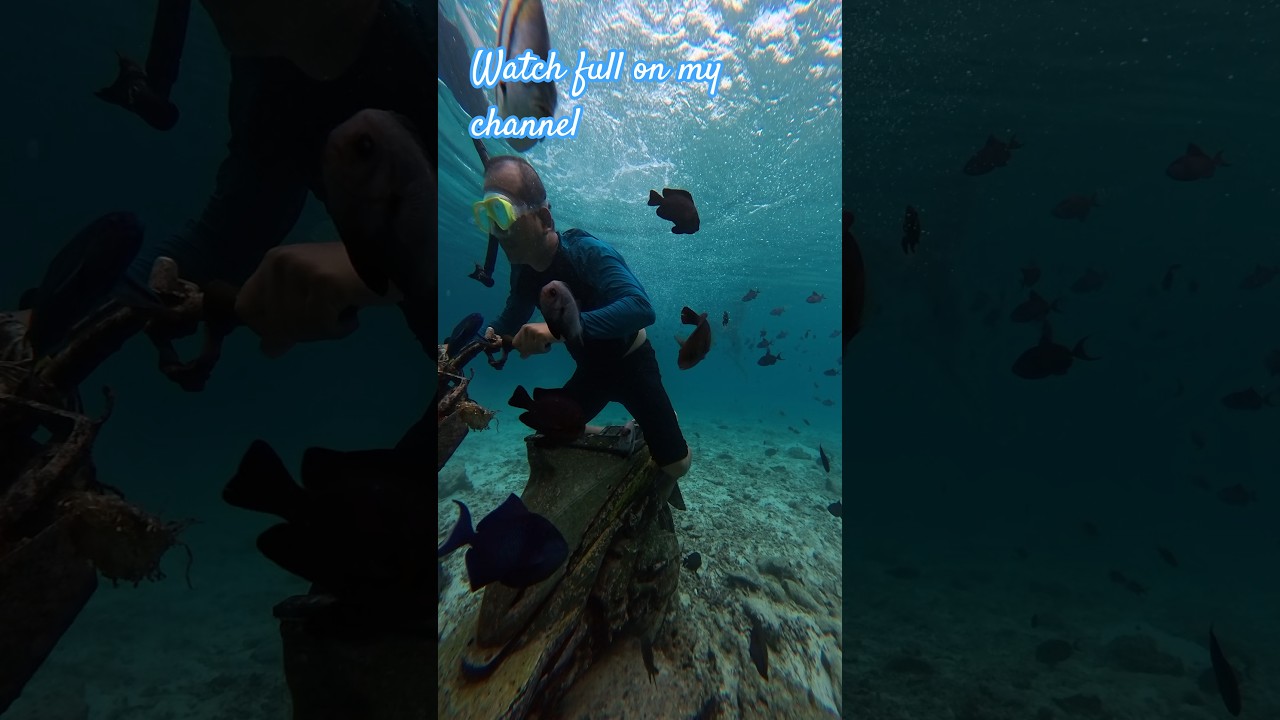 Snorkling di Pulau Rubiah 
