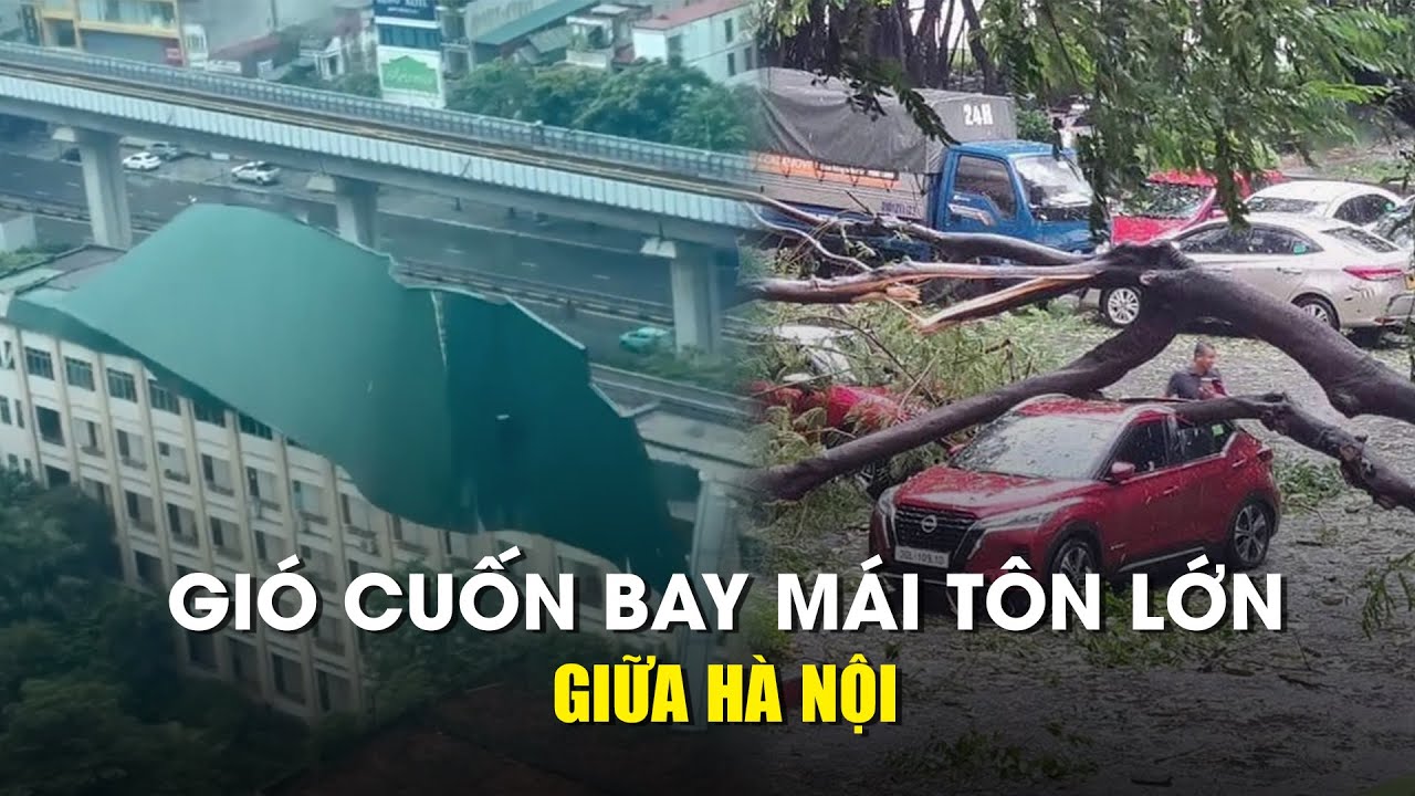 Bão Yagi: Mái tôn lìa nóc nhà, cây ngã la liệt đè ô tô trên đường phố Hà Nội