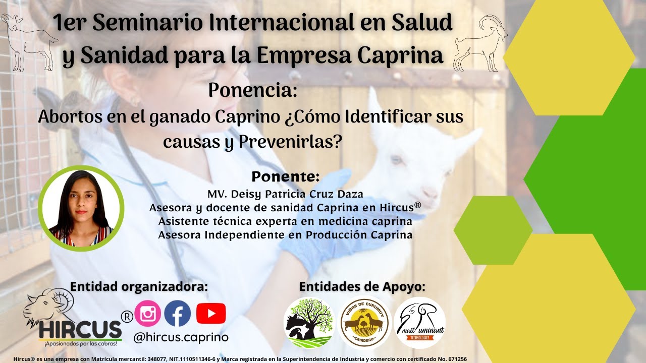 Aborto en el ganado caprino ¿Cómo identificar sus causas y prevenirlas?