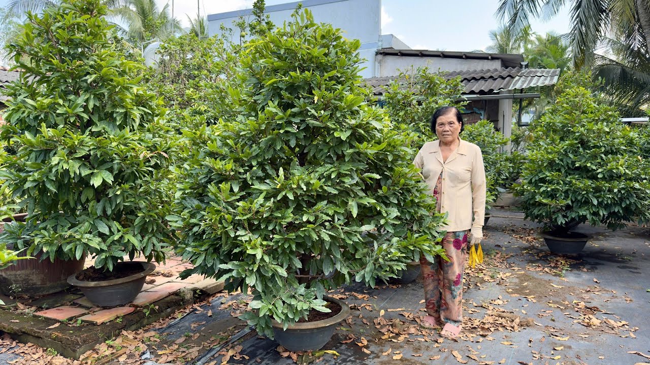 MAI GIẢO THỦ ĐỨC O4/O1/2O26 ( 