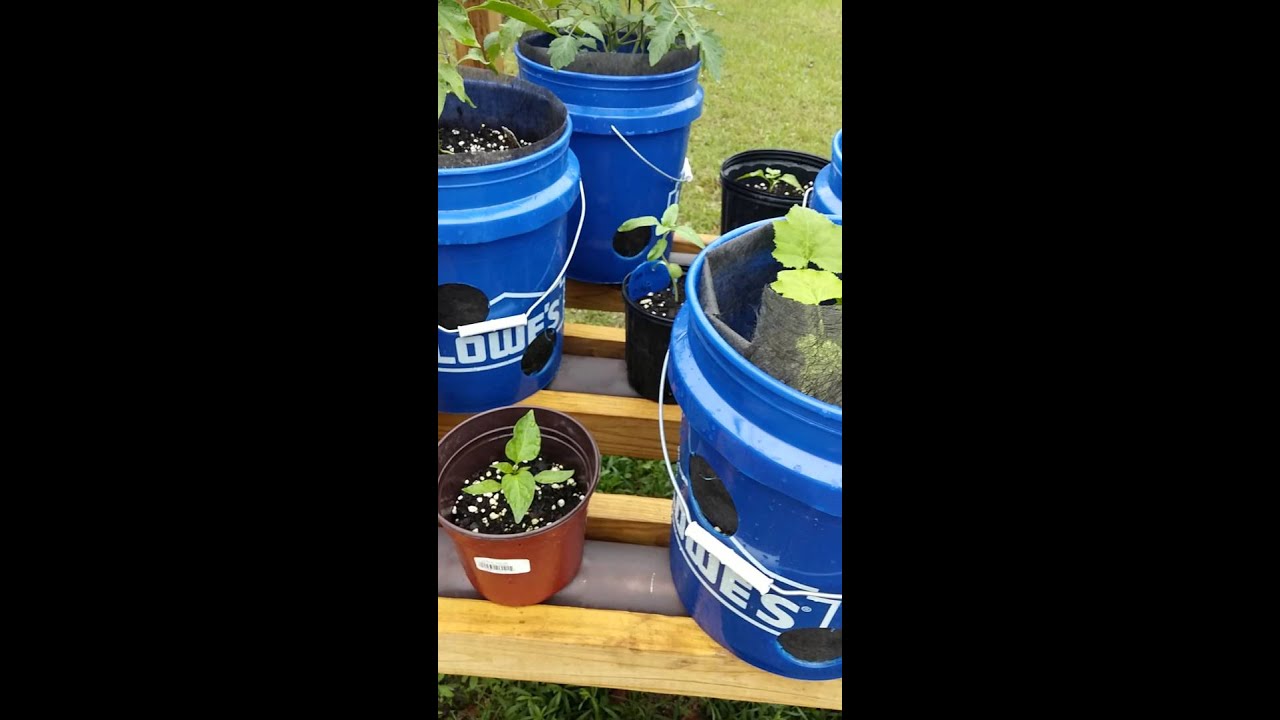 Gardening Pier based on Larry Hall's Rain Gutter Grow System