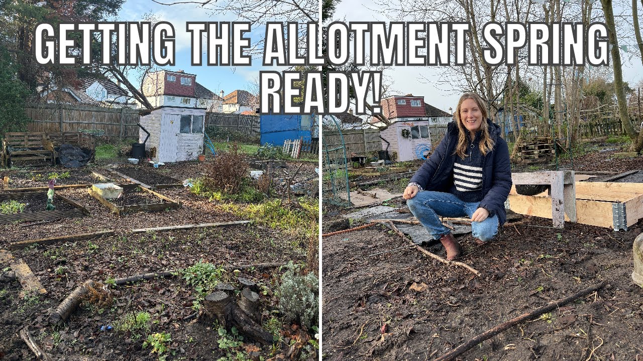 GETTING THE ALLOTMENT READY FOR FEBRUARY / ALLOTMENT GARDENING UK
