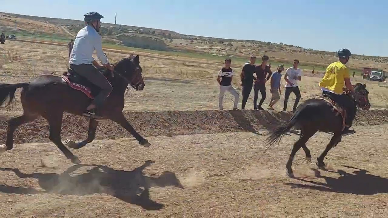 Rahvan At yarışları