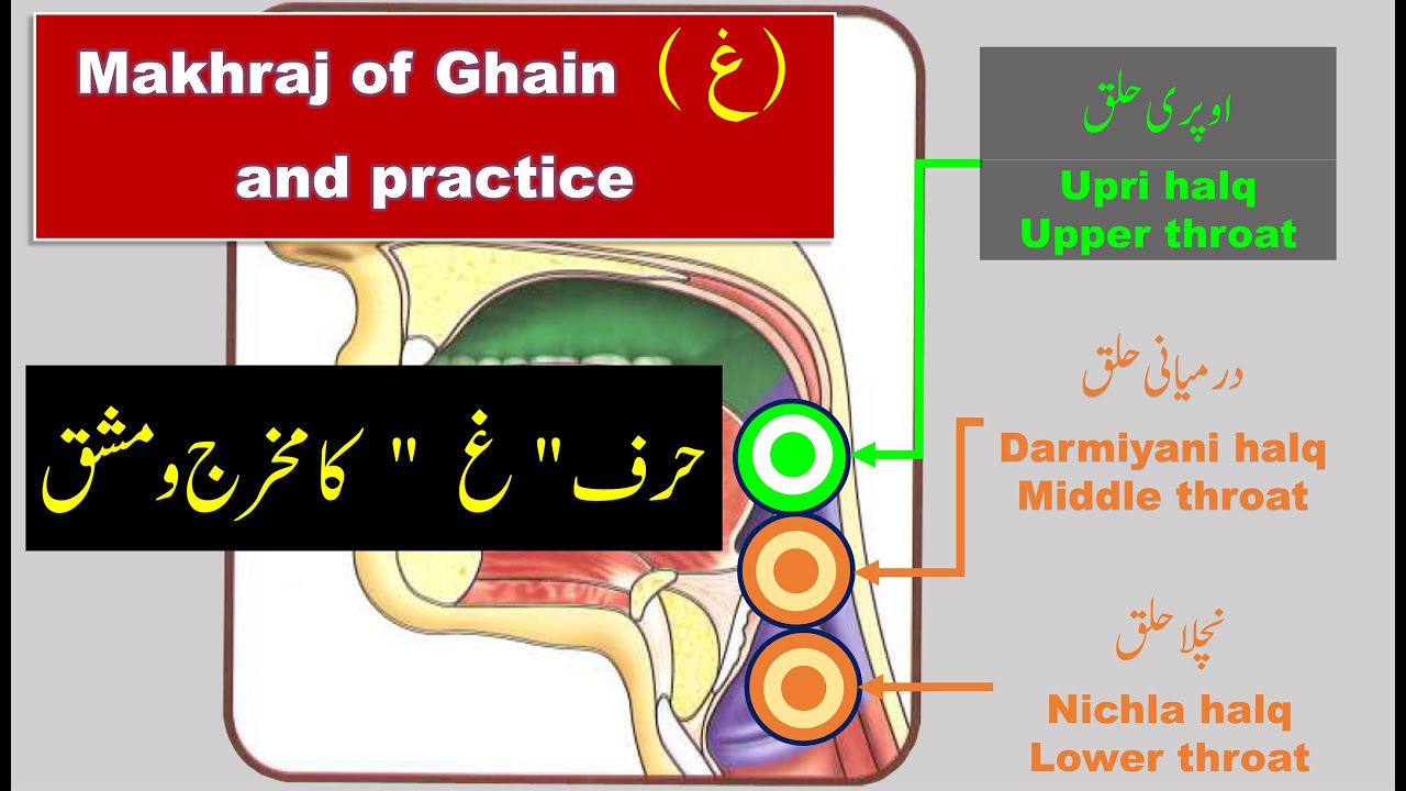 Pronunciation of letter ghain ( غ ) in Quran | Makhraj of Ghayn in Tajweed | Quran for beginners
