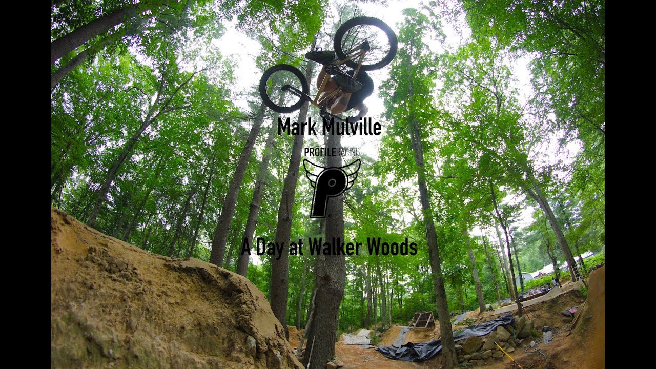 Mark Mulville -- Walker Woods -- Summer of 2022