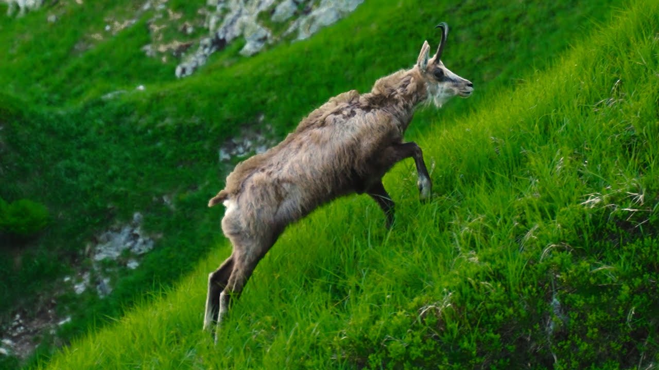 Tatry to nie są przelewki