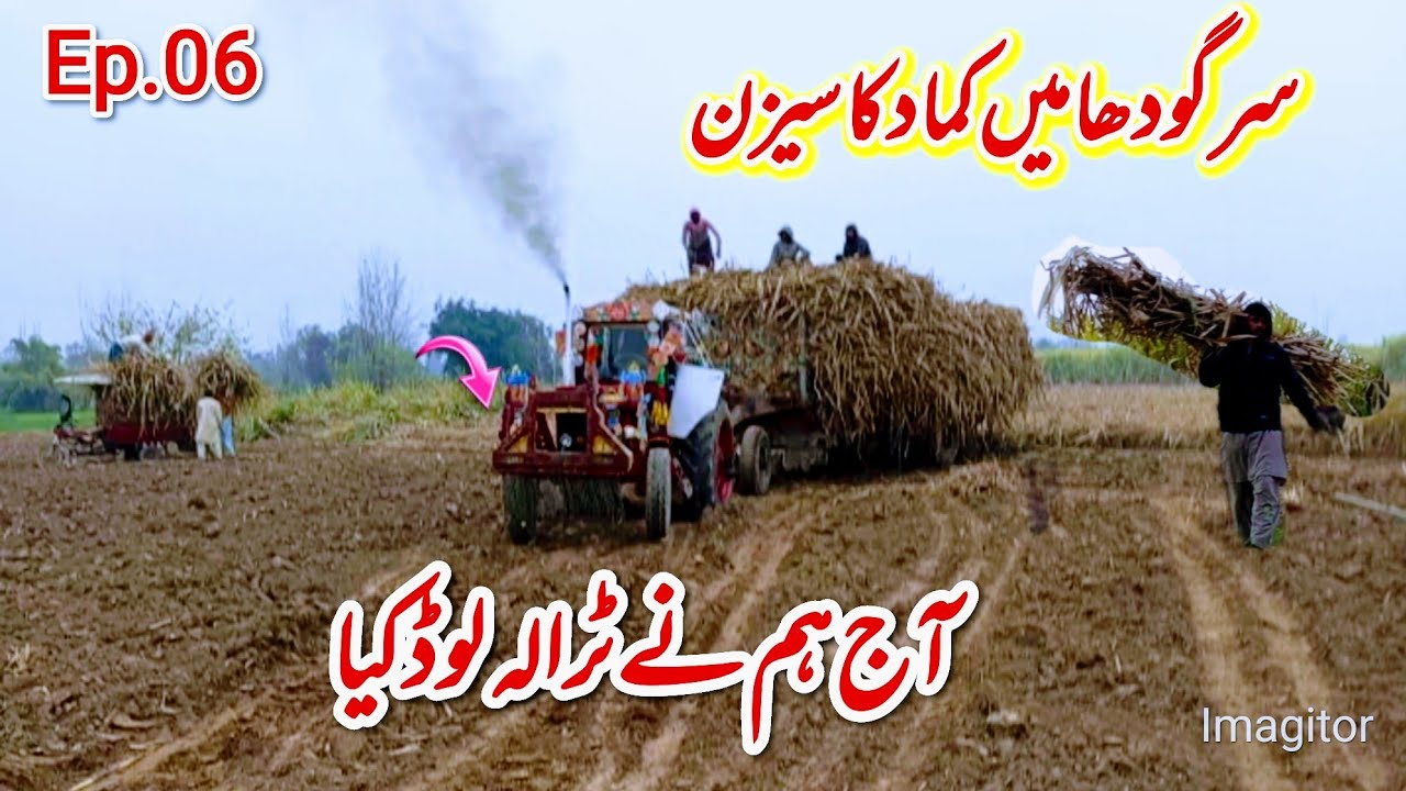 Hm ne aj trala load kia shadeed smog Sargodha me kamad ka season 