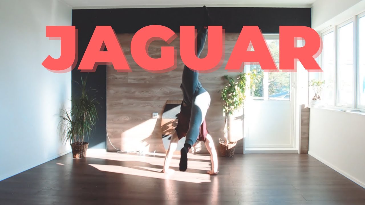 Jaguar | Isolated Movement Patterns #33