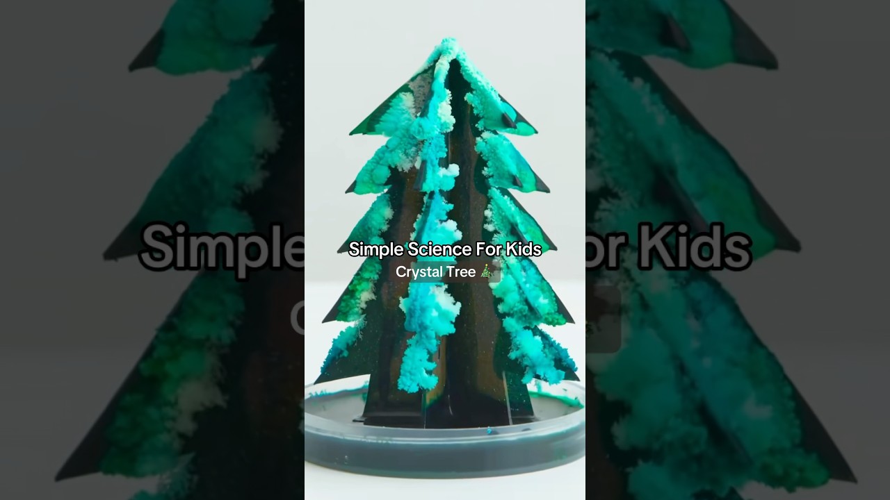 Crystal Christmas Tree DIY Science Experiment #kiwico #scienceexperiment #diy